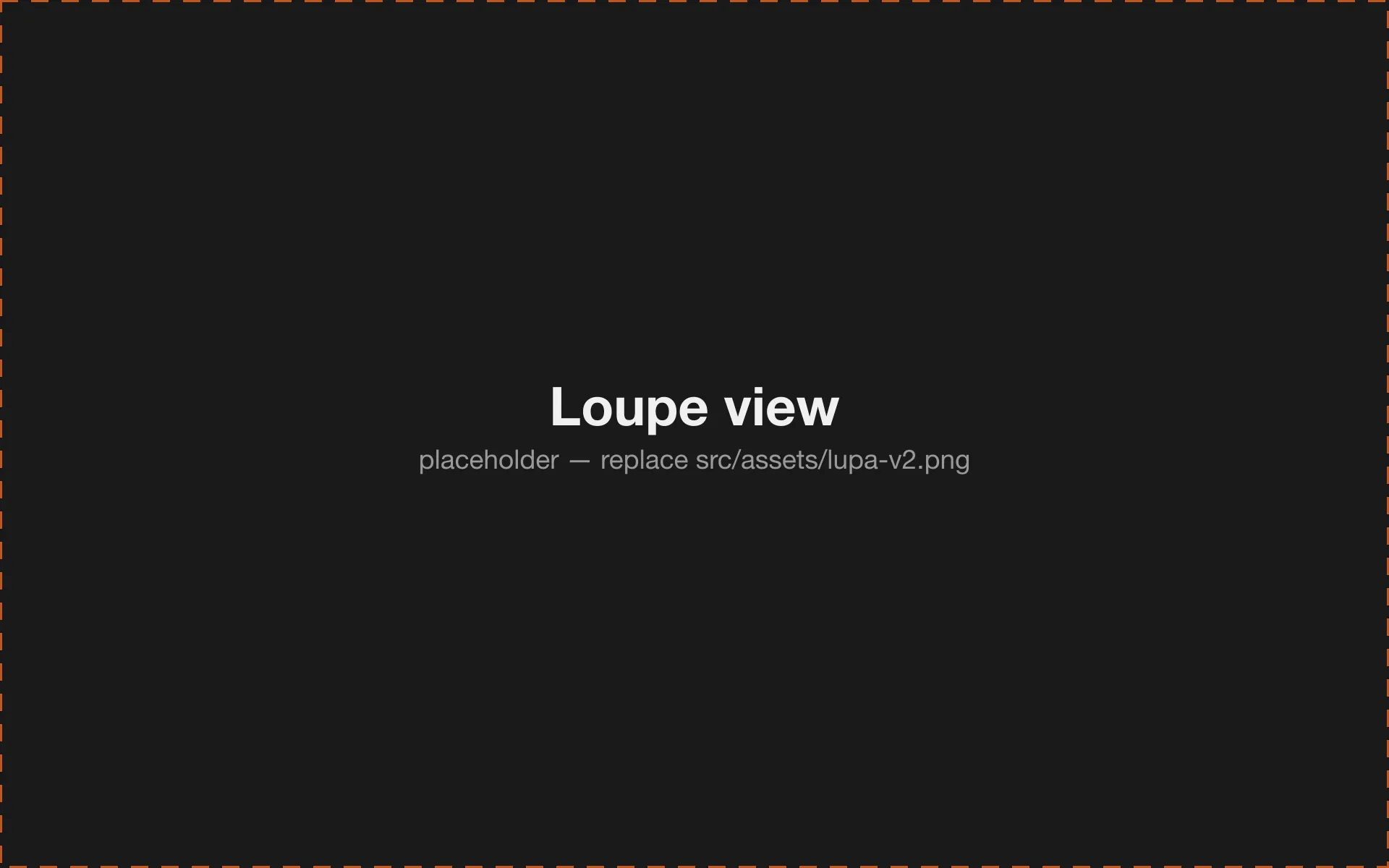 Negativo's loupe view: a single photo full-screen with rating and pick controls overlaid at the edge.